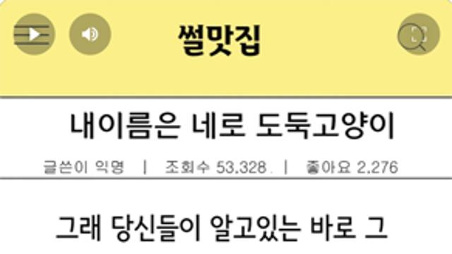 내이름은 네로! 도둑고양이