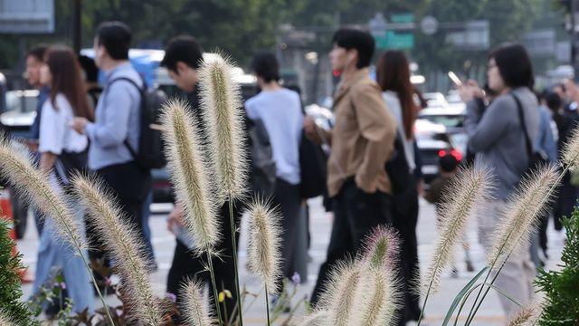 [날씨] 내륙 중심 일교차 10도 안팎…춘천·대구 등 소나기