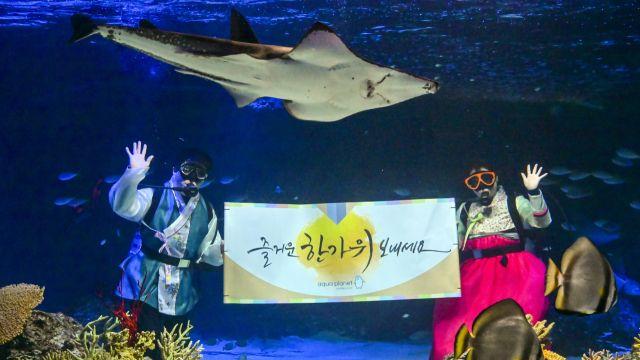 추석맞이 아쿠아리스트의 인사 [포토뉴스]