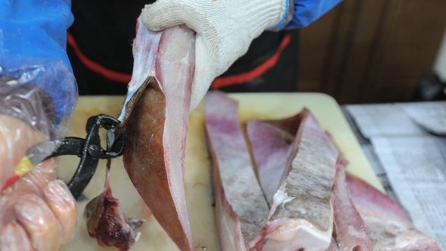 홍어껍질로 고부가가치 식품 만든다…식약처 인정 획득
