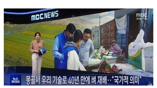 몽골에서 우리나라 기술로 40년만에 벼재배 성공