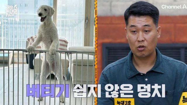 ‘김포 분노유발견’, 충격 반전…강형욱 “이 집에 안 어울릴 정도로 뛰어나” (‘개늑시’) [종합]