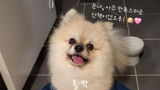 페퍼 미션 완료.~ ????