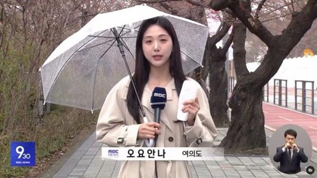 MBC에는 쓰다 버려지는 수많은 오요안나가 있습니다