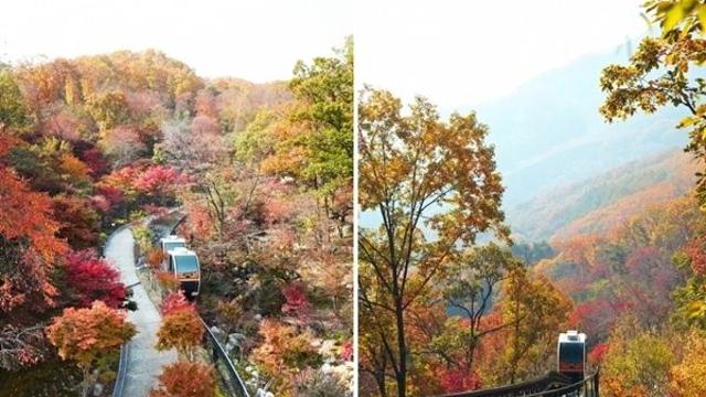 바쁜 일상 탈출, '쉼'이 필요할 때...화담숲·성곽 따라 걷는 '광주 여행'