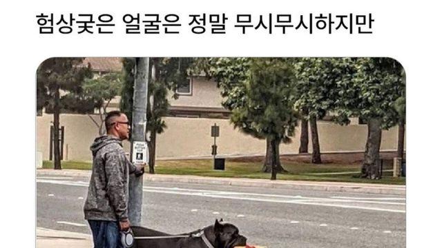 소심하지만 그렇지 않은 외모