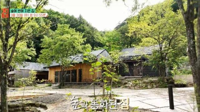 EBS1 '건축탐구 집' 숲에 반해 지은 집 편