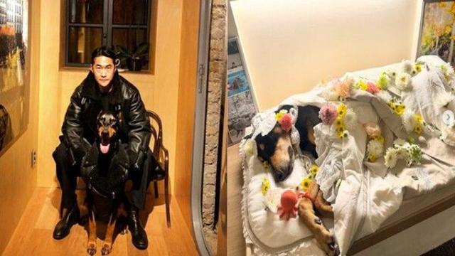배정남 “사랑하는 딸 벨, 하늘의 별이 됐다”…눈물의 작별