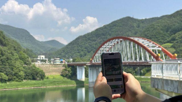 단양군 '단양갈래', 출시 두 달 반 만에 6천 가입자 돌파