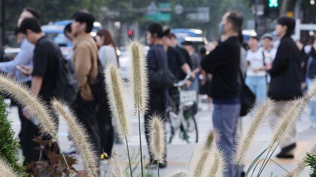 [날씨] 맑고 일교차 커…아침 내륙 중심 짙은 안개 유의