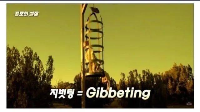 사형수를 공중에 매달아 방치해 죽이는 도구 '지빗팅'