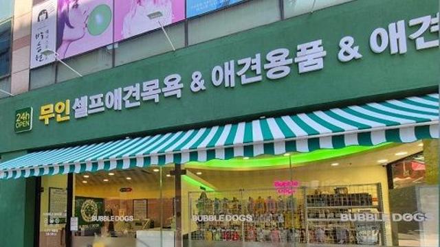 버블독스 가맹점 50호점 돌파! 2025년 반려동물 전성시대