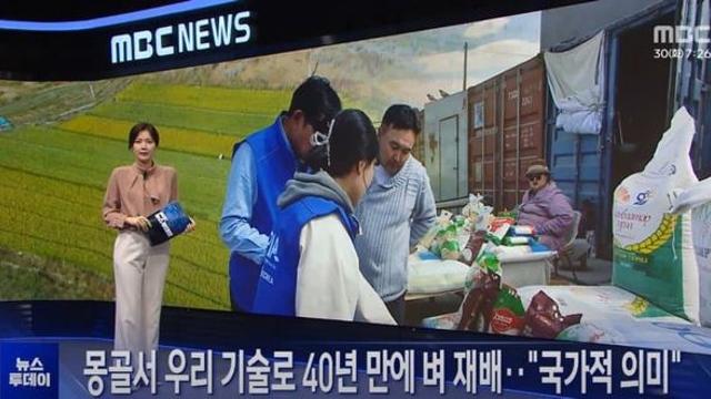 몽골서 우리 기술로 40년 만에 벼 재배.jpg