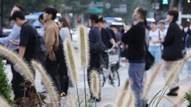 [날씨] 오늘 맑고 일교차 커…아침 내륙 중심 짙은 안개 유의