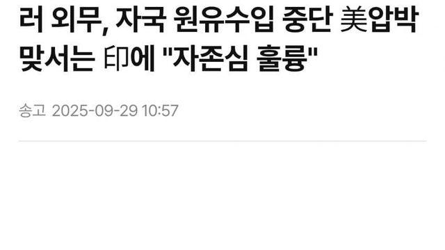 라브로프 러 외무 