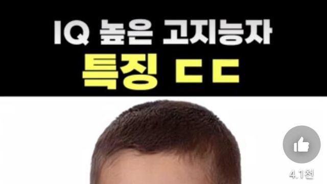 IQ 높은 고지능자 특징