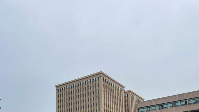 학교 축제에 프세카 부른 후기