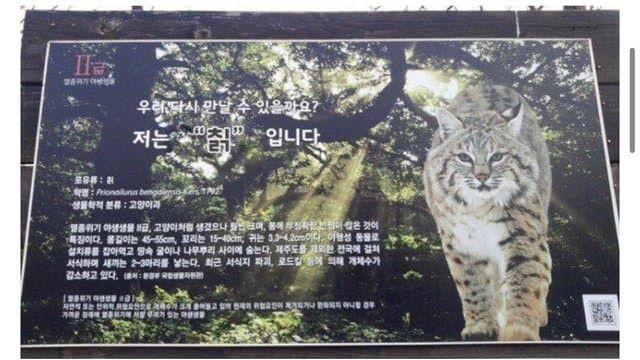 “저는 칡 입니다”짤의 진실