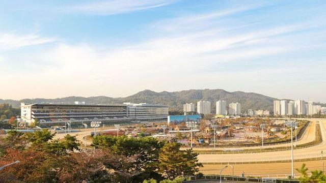 한국 마사회, 올 가을 마지막 야간 경마 2~4일 시행