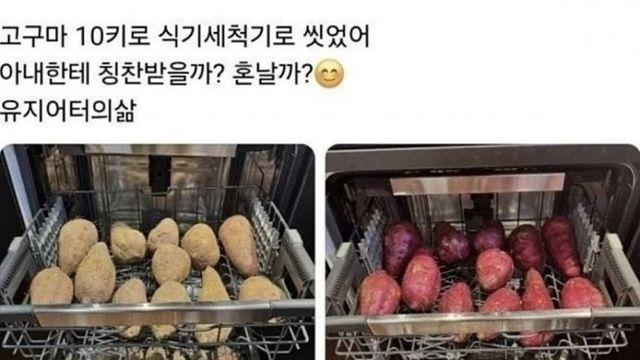 칭찬받을까 혼날까