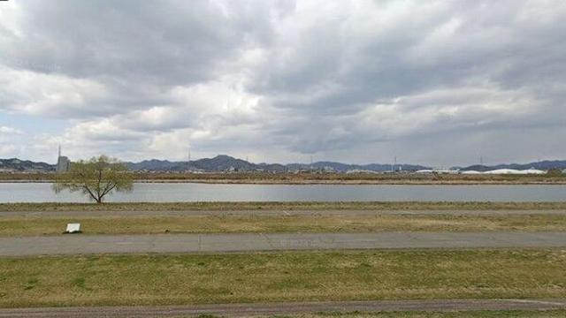 日 강가서 머리·꼬리 잘린 새끼 고양이 사체 발견…경찰 수사