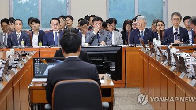 행안위, 與주도로 정의선·백종원 등 국정감사 증인 채택