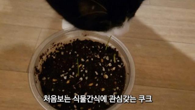쿠크도 미션 완료.~ ????⬛