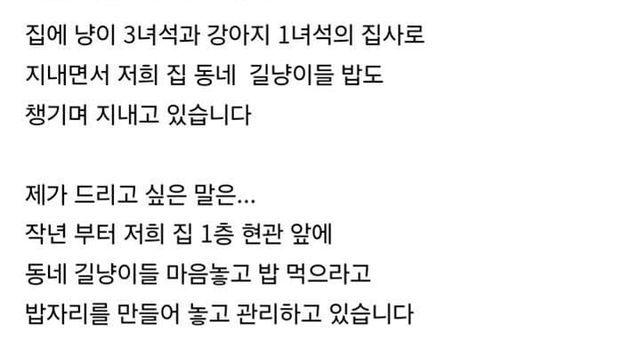 캣맘이 사료를 훔치는 캣맘 헌터