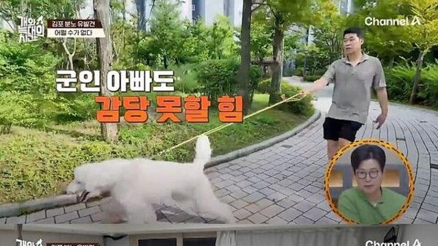 대형 푸들 입질에 강형욱 
