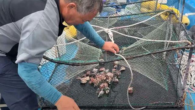 1m 10cm 초대형 사이즈... 거문도 앞바다서 통발에 잡힌 물고기