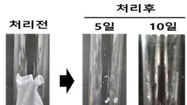 생분해성 플라스틱 분해시간 15배 이상 단축 미생물 발견