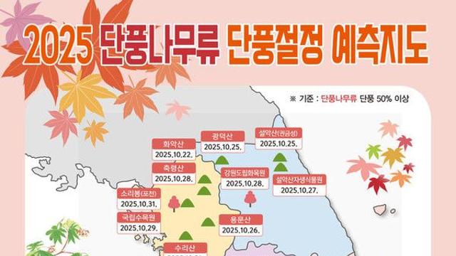 '2025 단풍 절정시기' 설악산 25일·내장산 11월 6일...명소 어디? 