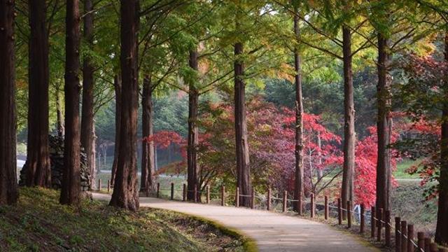 [오늘날씨] 충청·경기 소나기...서울 낮 26도·부산 27도 '미세먼지 나쁨'