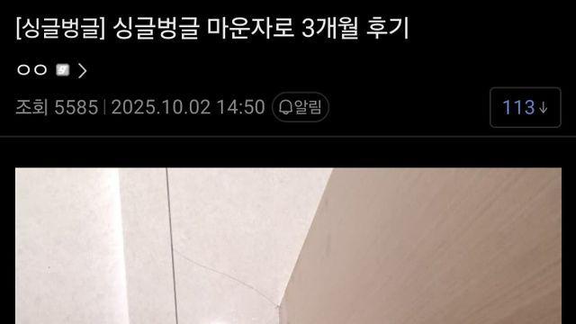 150kg 디씨인의 마운자로 3개월 후기