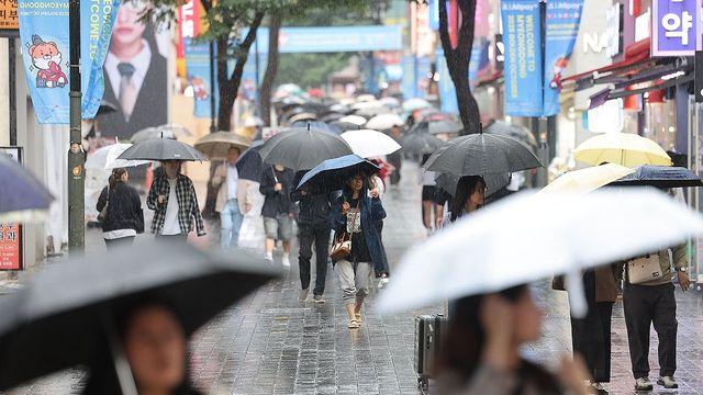 추석연휴 첫날 곳곳 비…내일까지 남부 최대 80㎜