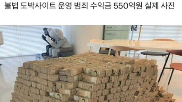 뉴스에 나온 현금 550억원 실물 체감