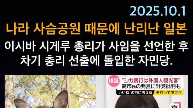 현재 나라 사슴 공원 때문에 난리난 일본