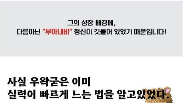 얼탱얼탱 굴단이 말하는 부아내비