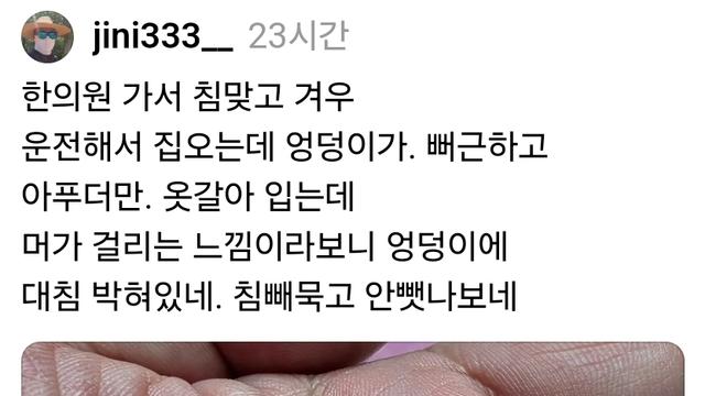 제아봉침에 관통당할뻔한 아재