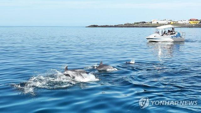 제주 구름 많음…낮 최고 27∼30도