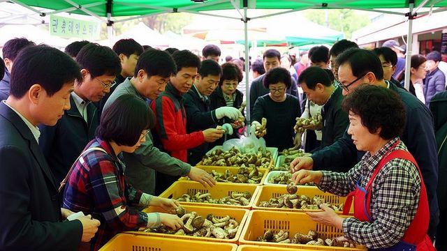 비싸도 산다...1kg에 150만원까지 올랐는데 없어서 못 산다는 '이것'