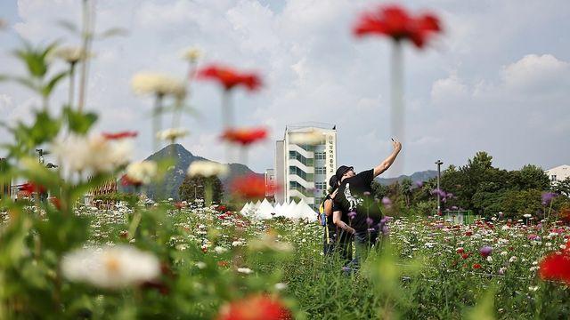 [날씨] 추석연휴 둘째 날 전국 곳곳 비…한낮 23∼29도