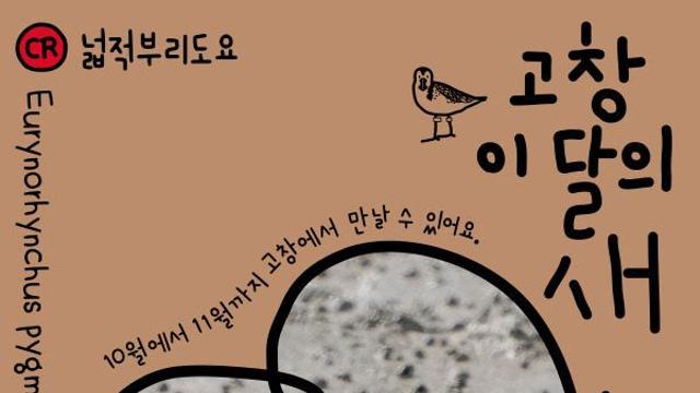 고창군, ‘넓적부리도요’ 10월 고창갯벌 이달의 새 선정