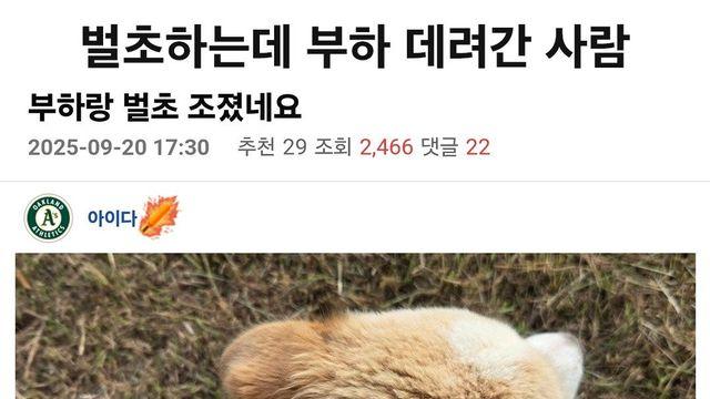 벌초 하는데 부하 데려간 사람의 최후