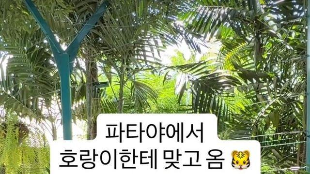 얼탱얼탱 인스타 동물보호 운동가 촌
