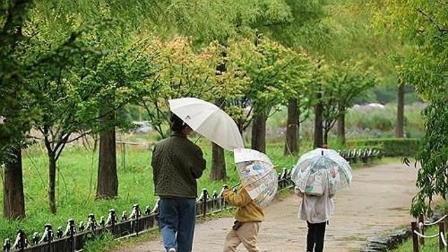 충북 흐리고 곳에 따라 비…낮 최고 24∼26도