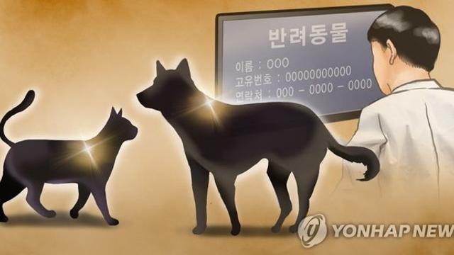 추석 연휴 반려동물 아프면?…전북도, '응급동물병원' 16곳 운영