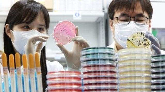 충청권 여러 군부대서 식중독 의심신고…장병 190명 증상 호소(종합)
