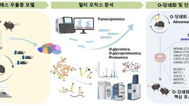 만성 스트레스가 단백질의 당쇄화 형태 바꿔 우울증 일으킨다
