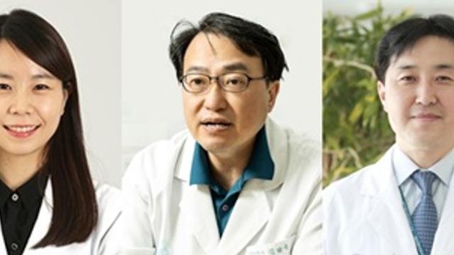 ‘장천공’ AI로 조기 진단…엑스레이 영상만으로 판독 가능, 내부 검증 정확도 94.9%